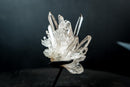 Collector Clear Quartz Cluster from Serra do Cabral, Diamantina – Long Radiating Crown Formation | 405 g