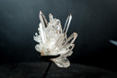 Collector Clear Quartz Cluster from Serra do Cabral, Diamantina – Long Radiating Crown Formation | 405 g