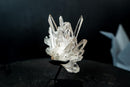 Collector Clear Quartz Cluster from Serra do Cabral, Diamantina – Long Radiating Crown Formation | 405 g