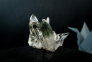 Collector Green Chlorite Phantom Quartz – Lemurian Crystal with Lodolite Inclusions (585 g)