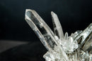 Collector Green Chlorite Phantom Quartz – Lemurian Crystal with Lodolite Inclusions (585 g)