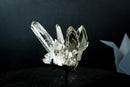Collector Green Chlorite Phantom Quartz – Lemurian Crystal with Lodolite Inclusions (585 g)