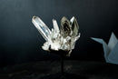 Collector Green Chlorite Phantom Quartz – Lemurian Crystal with Lodolite Inclusions (585 g)