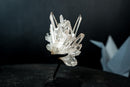 Collector Clear Quartz Cluster from Serra do Cabral, Diamantina – Long Radiating Crown Formation | 405 g