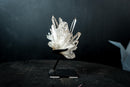 Collector Clear Quartz Cluster from Serra do Cabral, Diamantina – Long Radiating Crown Formation | 405 g
