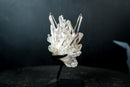Collector Clear Quartz Cluster from Serra do Cabral, Diamantina – Long Radiating Crown Formation | 405 g