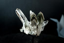 Collector Green Chlorite Phantom Quartz – Lemurian Crystal with Lodolite Inclusions (585 g)