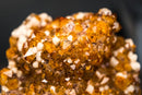 AAA Golden Orange Citrine Cluster with Flower Stalactites, Calcite & Sparkly Druzy – Self-Standing Cut Base (3.4 lb) - E2D Crystals & Minerals