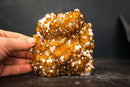 AAA Golden Orange Citrine Cluster with Flower Stalactites, Calcite & Sparkly Druzy – Self-Standing Cut Base (3.4 lb) - E2D Crystals & Minerals