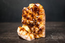 Citrine Crystal Cluster Wood – Deep Orange Druzy, Gemmy Points & Self-Standing Cut Base (3.1 lb) - E2D Crystals & Minerals