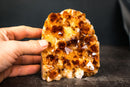 Citrine Crystal Cluster Wood – Deep Orange Gemmy Points, Self-Standing Cut Base (1.5 kg | 3.4 lb) - E2D Crystals & Minerals