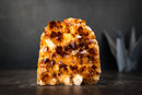 Citrine Crystal Cluster Wood – Deep Orange Gemmy Points, Self-Standing Cut Base (1.5 kg | 3.4 lb) - E2D Crystals & Minerals