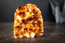Citrine Crystal Cluster Wood – Deep Orange Gemmy Points, Self-Standing Cut Base (1.5 kg | 3.4 lb) - E2D Crystals & Minerals