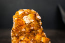 Golden Orange Citrine Crystal Cluster with Flower Stalactite Rosettes, Calcite & Sparkly Druzy – Self-Standing Cut Base (3.6 lb) - E2D Crystals & Minerals
