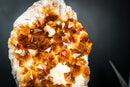 Gorgeous Golden Orange Citrine Crystal Cluster with White Calcite on Custom Stand - 11 Lb. - E2D Crystals & Minerals
