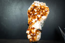 Gorgeous Golden Orange Citrine Crystal Cluster with White Calcite on Custom Stand - 11 Lb. - E2D Crystals & Minerals