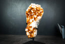 Gorgeous Golden Orange Citrine Crystal Cluster with White Calcite on Custom Stand - 11 Lb. - E2D Crystals & Minerals