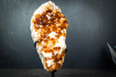 Gorgeous Golden Orange Citrine Crystal Cluster with White Calcite on Custom Stand - 11 Lb. - E2D Crystals & Minerals