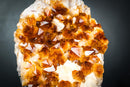Gorgeous Golden Orange Citrine Crystal Cluster with White Calcite on Custom Stand - 11 Lb. - E2D Crystals & Minerals