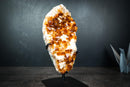 Gorgeous Golden Orange Citrine Crystal Cluster with White Calcite on Custom Stand - 11 Lb. - E2D Crystals & Minerals