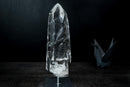 Collector Lemurian Quartz Point from Diamantina – Water-Clear Crystal with Golden Rutile (19 in | 14 lb) - E2D Crystals & Minerals