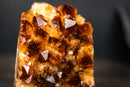 Citrine Crystal Cluster Wood – Deep Orange Druzy, Gemmy Points & Self-Standing Cut Base (3.1 lb) - E2D Crystals & Minerals