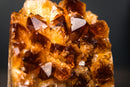 Citrine Crystal Cluster Wood – Deep Orange Druzy, Gemmy Points & Self-Standing Cut Base (3.1 lb) - E2D Crystals & Minerals