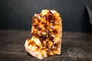 Citrine Crystal Cluster Wood – Deep Orange Druzy, Gemmy Points & Self-Standing Cut Base (3.1 lb) - E2D Crystals & Minerals