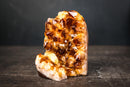 Citrine Crystal Cluster Wood – Deep Orange Druzy, Gemmy Points & Self-Standing Cut Base (3.1 lb) - E2D Crystals & Minerals