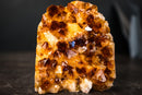 Citrine Crystal Cluster Wood – Deep Orange Gemmy Points, Self-Standing Cut Base (1.5 kg | 3.4 lb) - E2D Crystals & Minerals