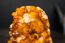 Golden Orange Citrine Crystal Cluster with Flower Stalactite Rosettes, Calcite & Sparkly Druzy – Self-Standing Cut Base (3.6 lb) - E2D Crystals & Minerals