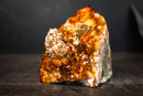 Collector-Grade Wood Citrine Cluster with Calcite-Covered Quartz Stalactites and Goethite Inclusions - 4.8 Lb. - E2D Crystals & Minerals
