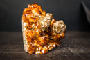 Collector-Grade Wood Citrine Cluster with Calcite-Covered Quartz Stalactites and Goethite Inclusions - 4.8 Lb. - E2D Crystals & Minerals