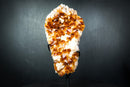 Gorgeous Golden Orange Citrine Crystal Cluster with White Calcite on Custom Stand - 11 Lb. - E2D Crystals & Minerals