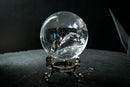 Water-Clear Quartz Sphere with Vivid Rainbows & Leaf-Shaped Feather Inclusions – Diamantina, Brazil (71 mm | 460 g) - E2D Crystals & Minerals