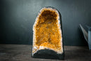 Small Citrine Geode with Deep Orange Crystal Points – Natural Abundance & Merchant Stone from Brazil (7.2 lb) - E2D Crystals & Minerals