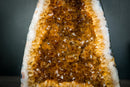 Deep Orange Citrine Geode – Citrine Crystal Cathedral, Abundance & Merchant Stone (15.5 lb | 11 In.) - E2D Crystals & Minerals