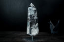 Collector Lemurian Quartz Point from Diamantina – Water-Clear Crystal with Golden Rutile (19 in | 14 lb) - E2D Crystals & Minerals