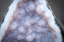 Rare Blue Lace Agate Geode with Baby Blue Galaxy Amethyst Druzy & Botryoidal Crystal Formations (3.1 Kg - 6.7 lb) - E2D Crystals & Minerals