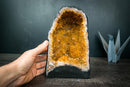 Small Citrine Geode with Deep Orange Crystal Points – Natural Abundance & Merchant Stone from Brazil (7.2 lb) - E2D Crystals & Minerals
