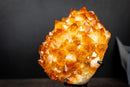 Large Golden Citrine Flower Crystal Cluster on Stand – Deep Yellow Druzy Specimen (11 lb | 5 kg)