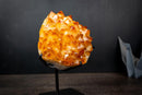 Large Golden Citrine Flower Crystal Cluster on Stand – Deep Yellow Druzy Specimen (11 lb | 5 kg)