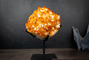 Large Golden Citrine Flower Crystal Cluster on Stand – Deep Yellow Druzy Specimen (11 lb | 5 kg)