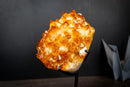 Large Golden Citrine Flower Crystal Cluster on Stand – Deep Yellow Druzy Specimen (11 lb | 5 kg)