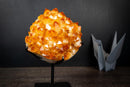 Large Golden Citrine Flower Crystal Cluster on Stand – Deep Yellow Druzy Specimen (11 lb | 5 kg)