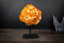 Large Golden Citrine Flower Crystal Cluster on Stand – Deep Yellow Druzy Specimen (11 lb | 5 kg)