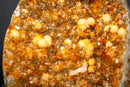 Golden Orange Citrine Crystal Cluster with Botryoidal Rosettes & Sparkling Galaxy Druzy | 10 lbs