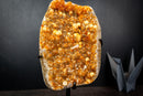 Golden Orange Citrine Crystal Cluster with Botryoidal Rosettes & Sparkling Galaxy Druzy | 10 lbs