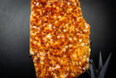 Large Golden Orange Citrine Crystal Cluster – AAA-Grade Druzy Specimen on Stand (19 lb | 8.55 kg)