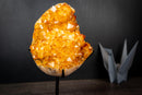 Golden Citrine Crystal Flower Cluster on Stand – Deep Yellow Druzy Specimen (7.3 lb | 3.3 kg)